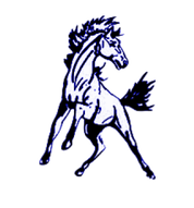 WMS Broncos Logo