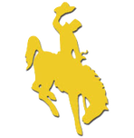Cowboy on Bucking Horse School Logo