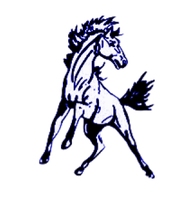 WMS Broncos Logo